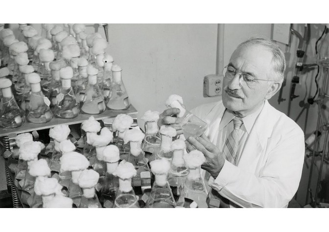 Открытие фотовыставки  «Доктор Чернозем. Зельман Ваксман — пионер эры антибиотиков» 